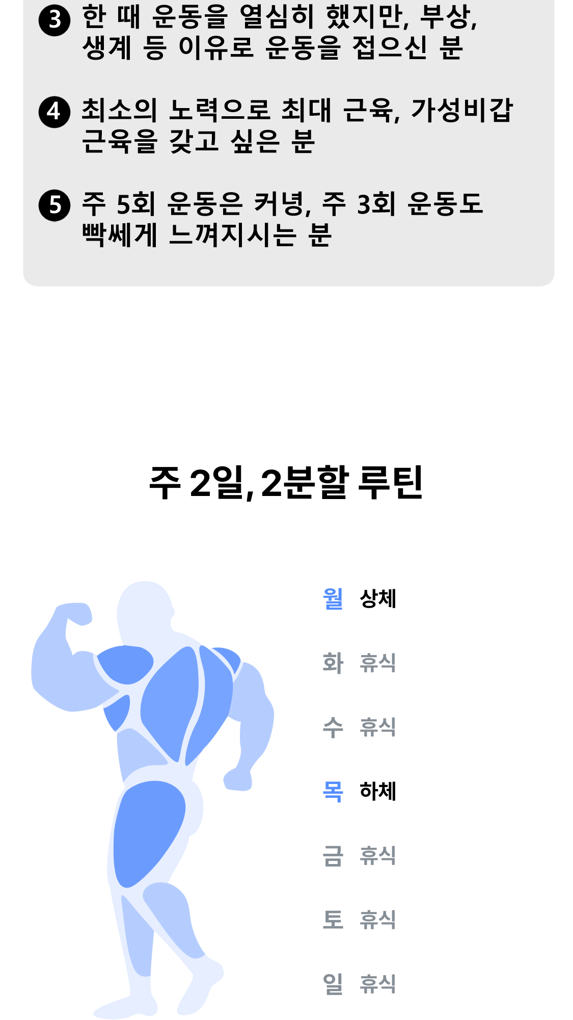 게으른 헬스 프로그램 상세 소개 7/15